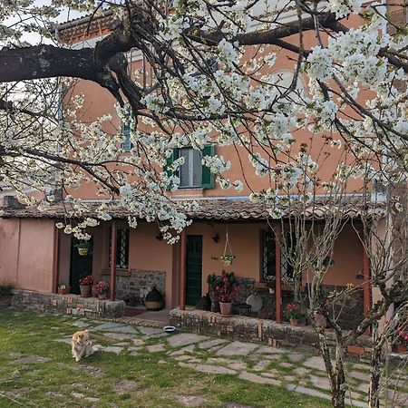 Dimora Marella Patrica - Frosinone Exterior foto
