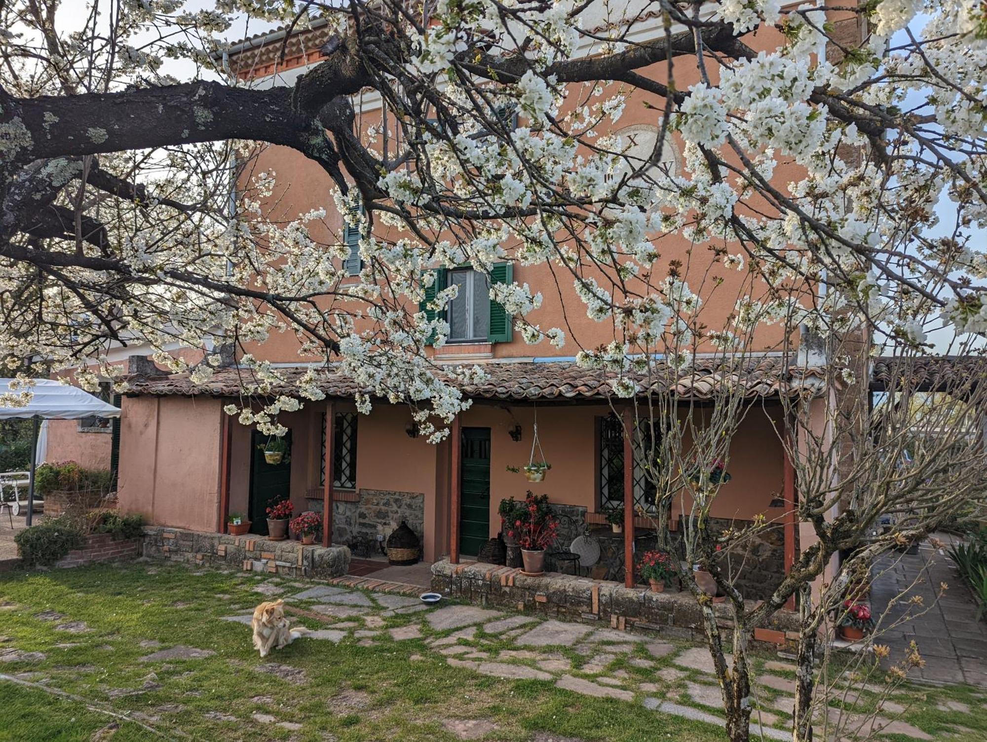Dimora Marella Patrica - Frosinone Exterior foto