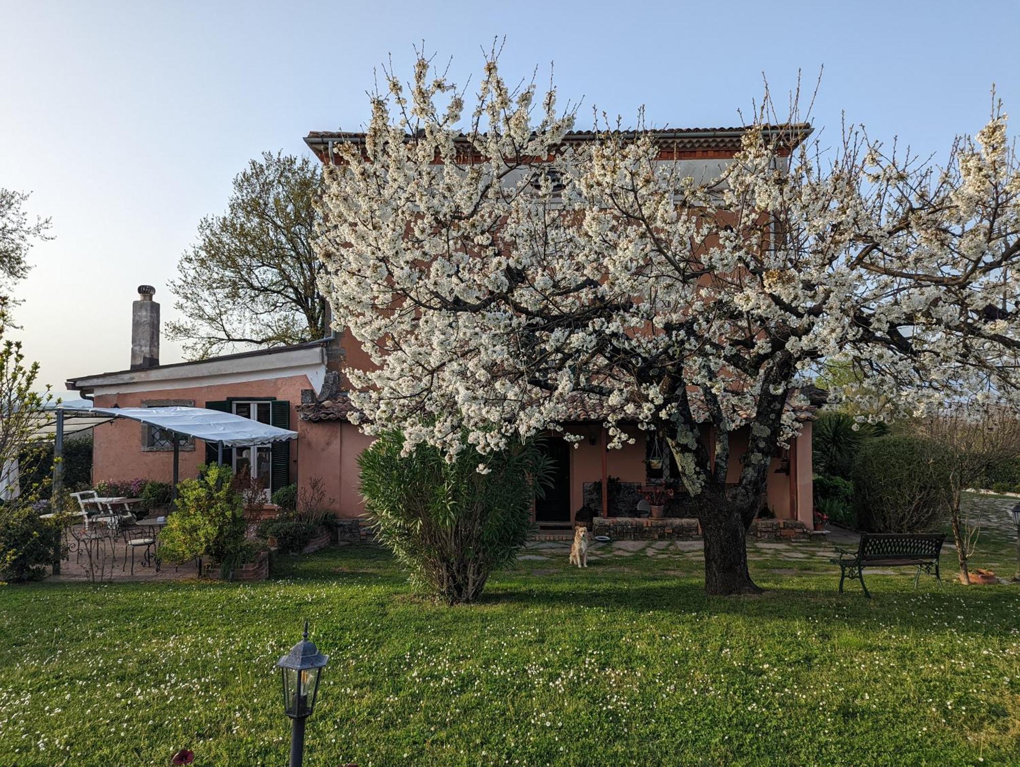 Dimora Marella Patrica - Frosinone Exterior foto